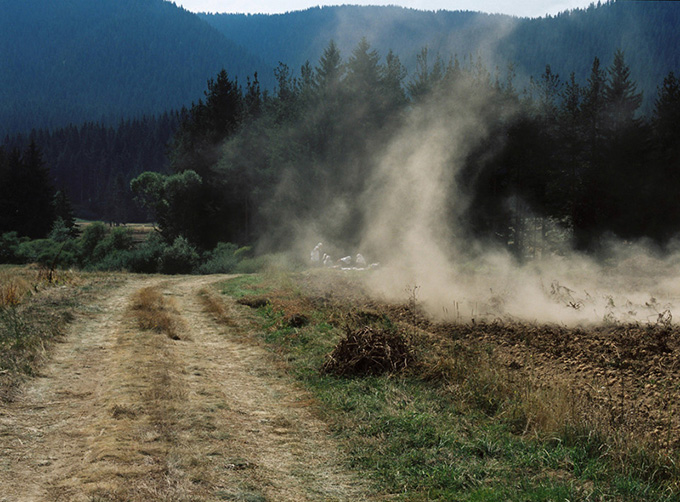 Kartoffelernte. Sarnitza, Bulgarien 2006